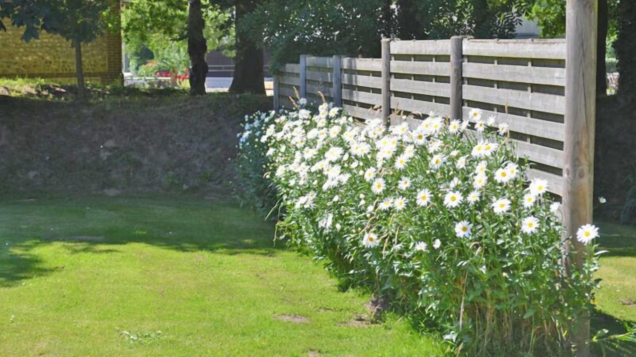 Photo of Outdoor in Angerville-la-Martel
