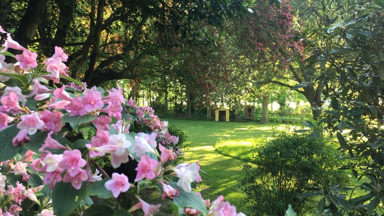 Photo of Outdoor in Ambrumesnil