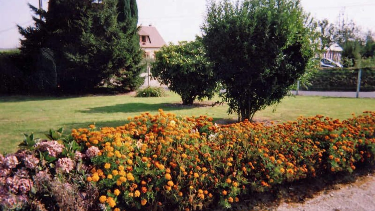 Photo of Outdoor in Angerville-la-Martel