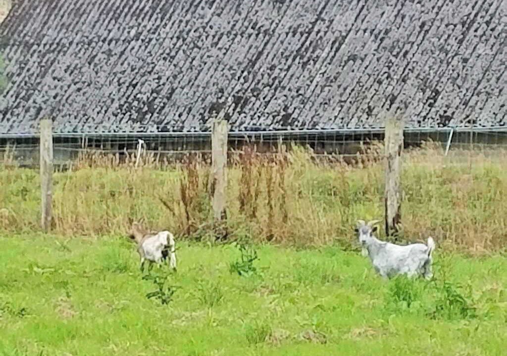 Photo of Others in Ypreville-Biville