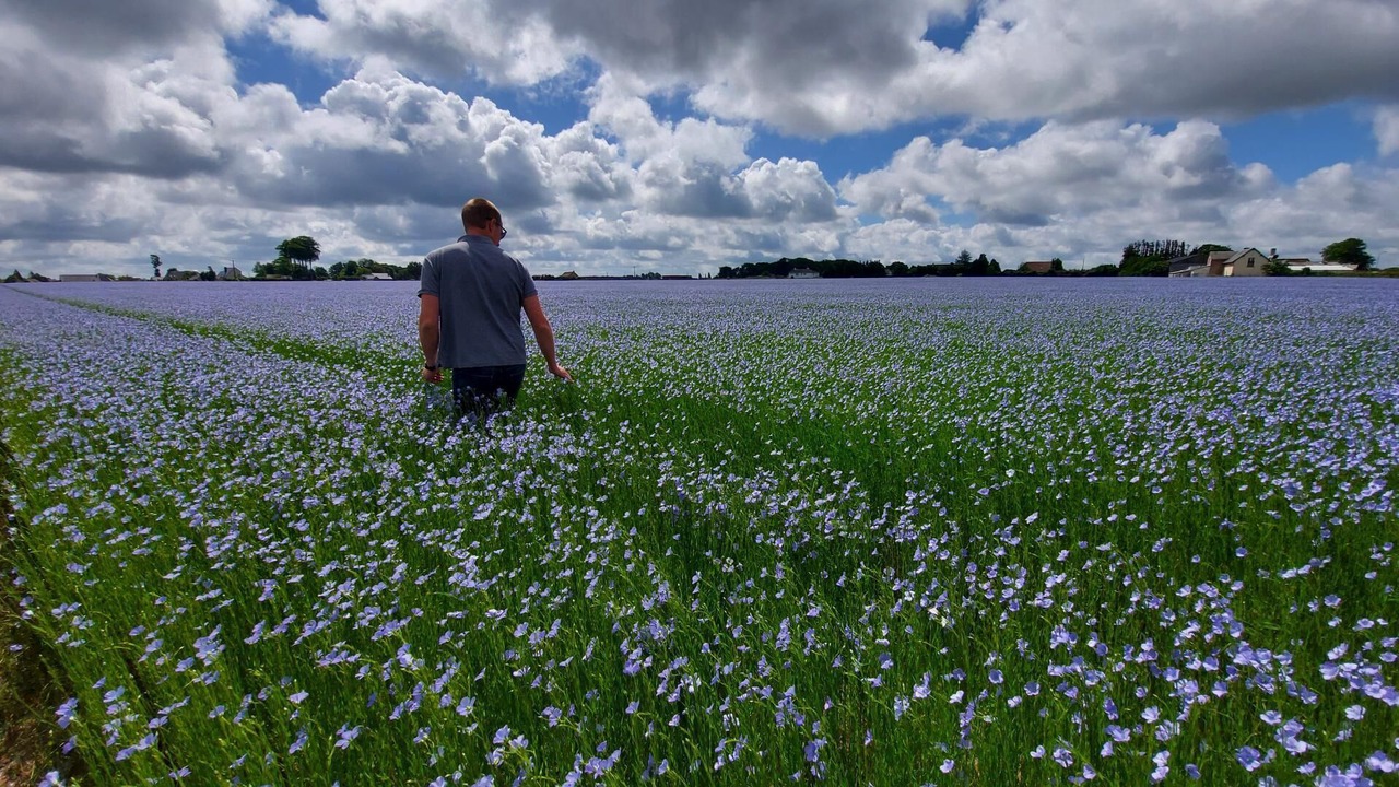 Photo of Outdoor in Saint-Leonard