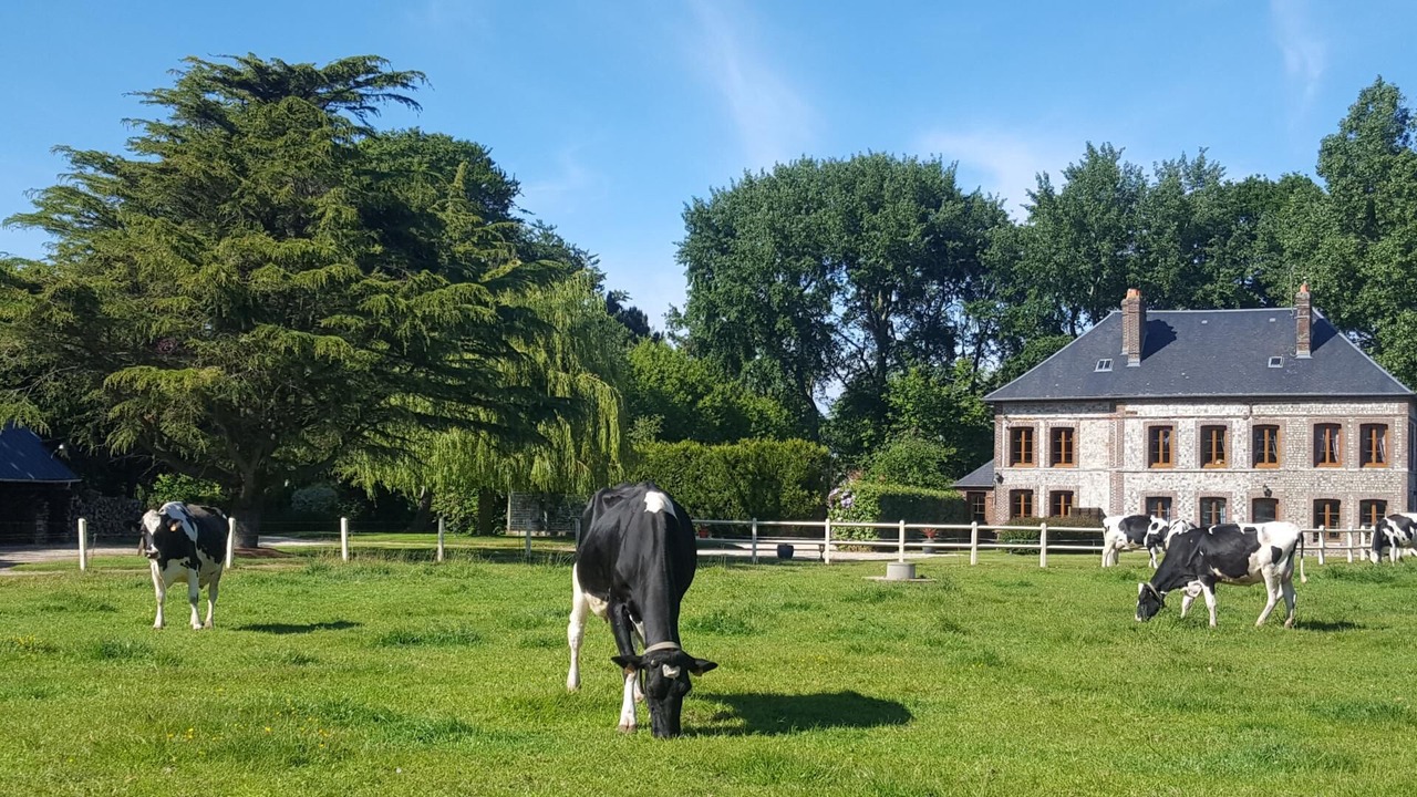 Photo of Outdoor in Saint-Leonard