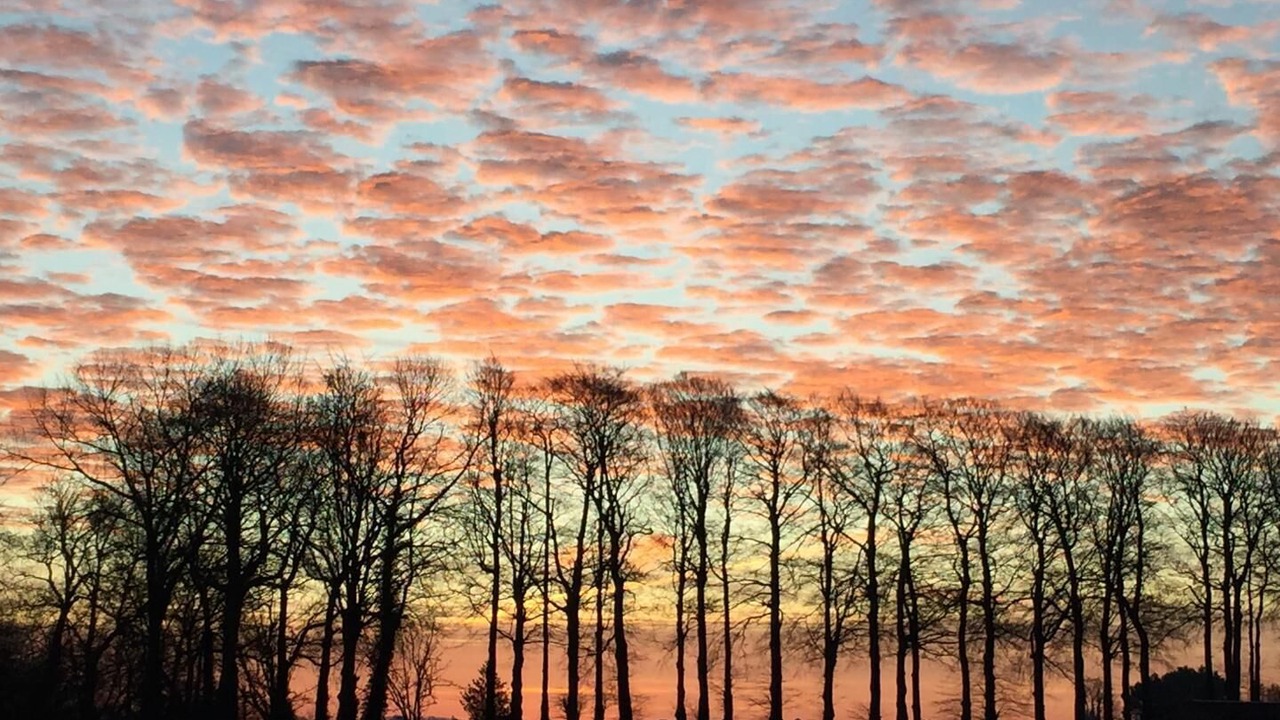 Photo of Outdoor in Saint-Leonard