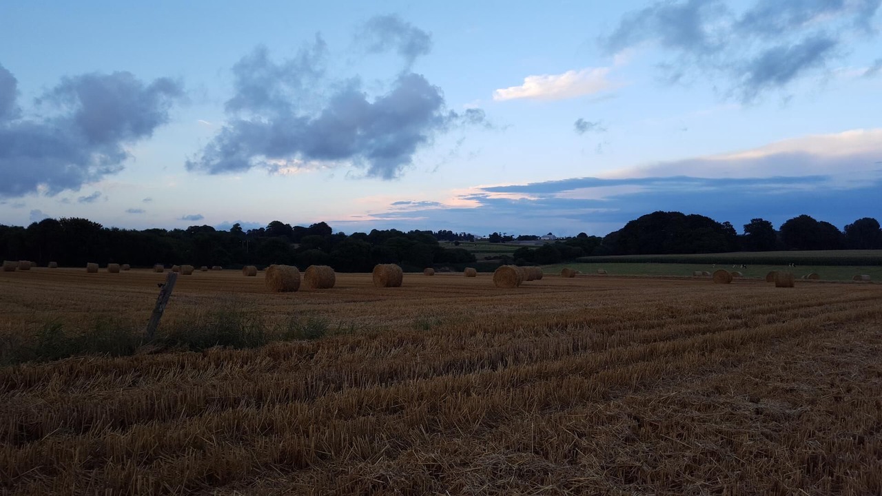 Photo of Others in Saint-Leonard