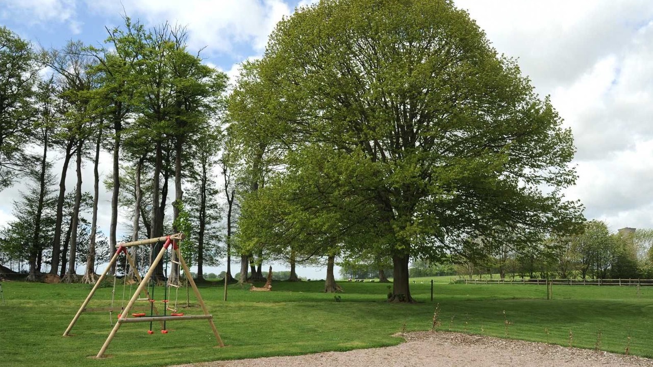 Photo of Others in Envronville