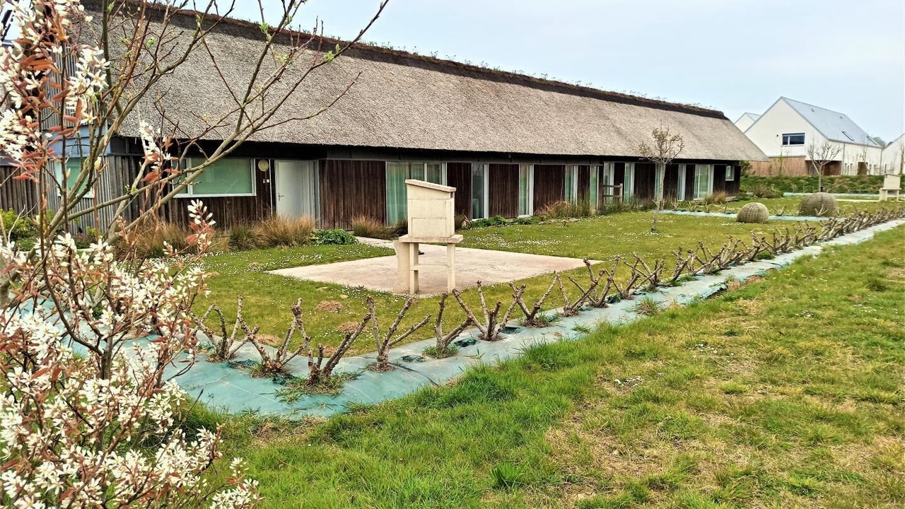 Photo of Outdoor in Paluel