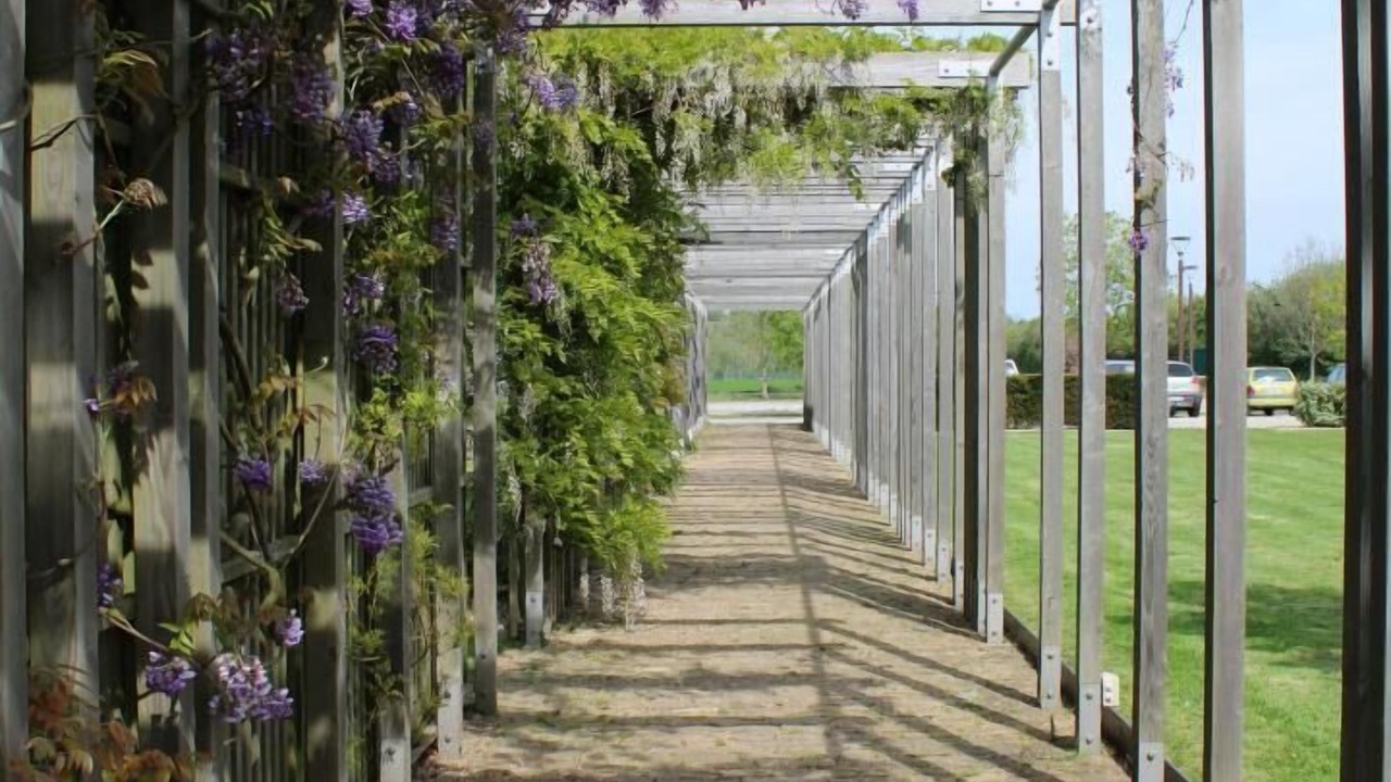 Photo of Outdoor in Paluel