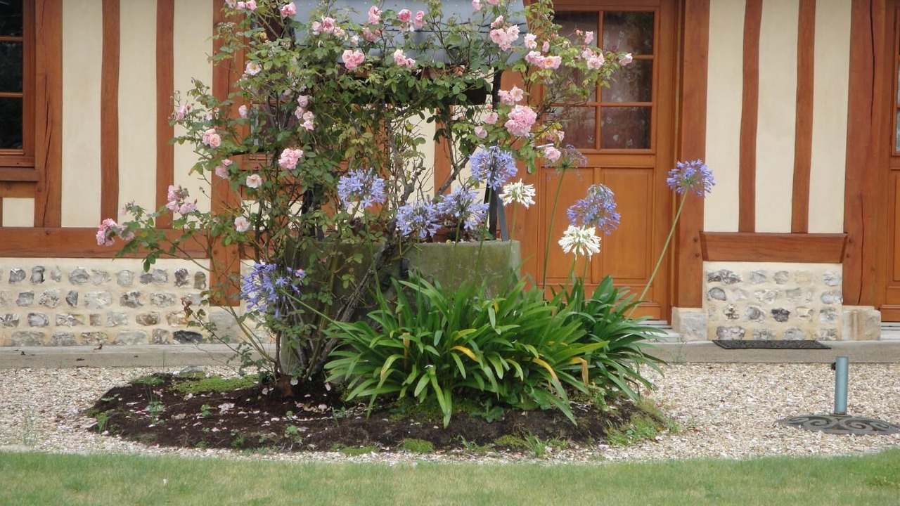 Photo of Outdoor in Paluel