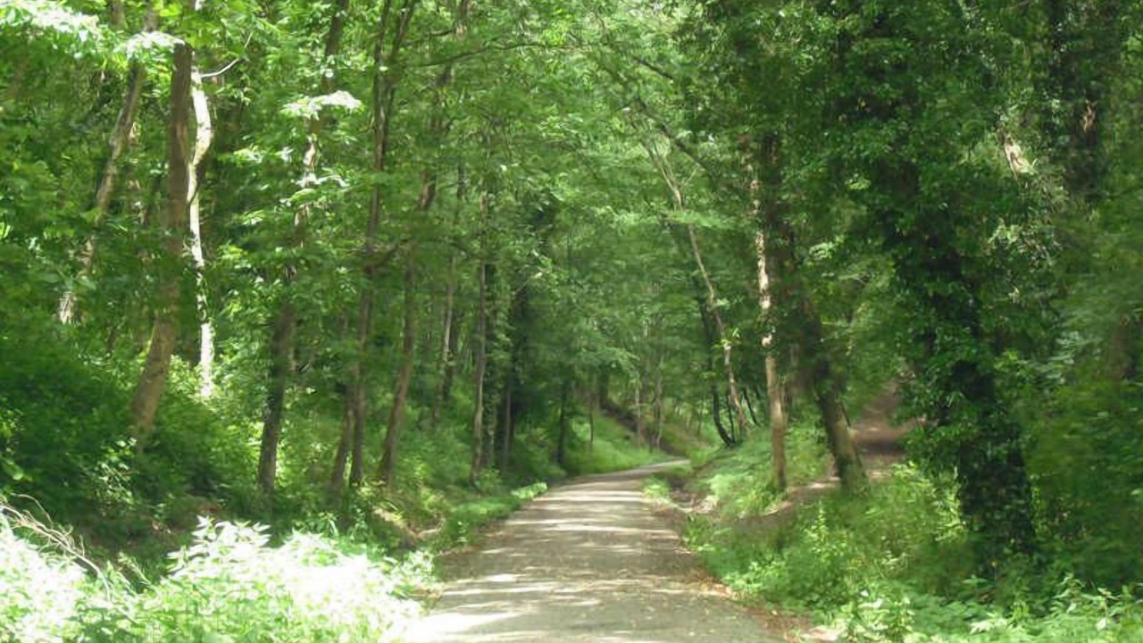 Photo of Others in Forges-les-Eaux