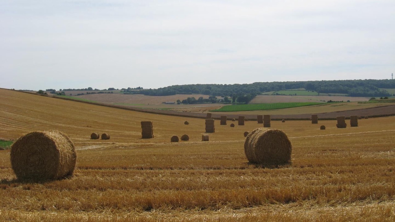Photo of Outdoor in Sainte-Beuve-en-Riviere