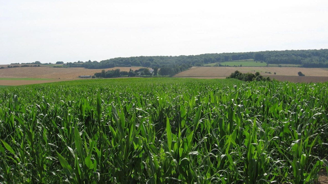 Photo of Others in Sainte-Beuve-en-Riviere