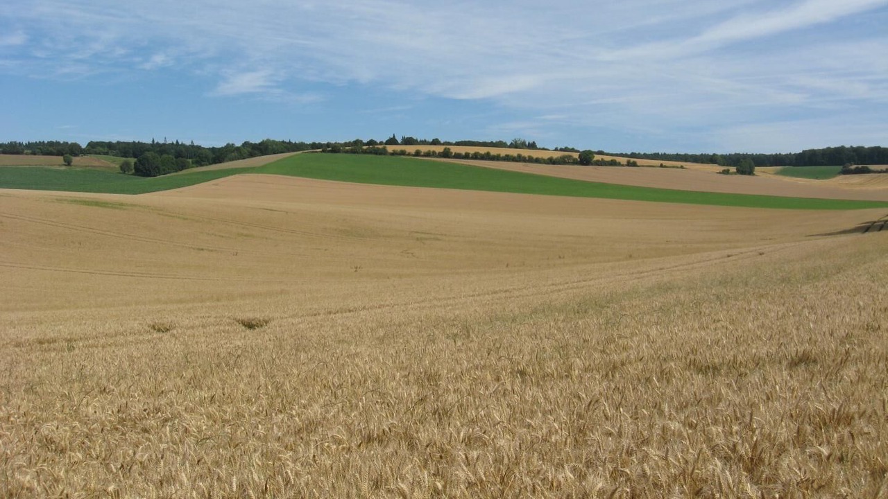 Photo of Others in Sainte-Beuve-en-Riviere