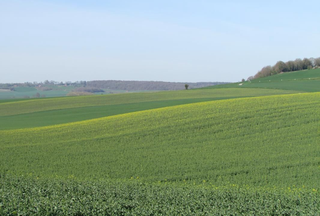 Photo of Others in Sainte-Beuve-en-Riviere