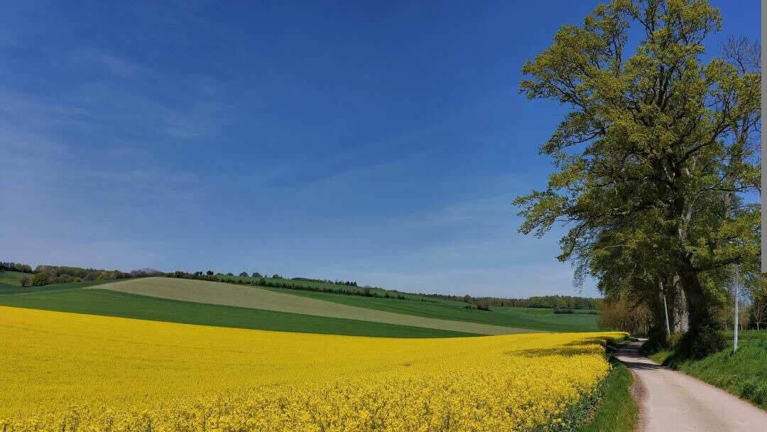 Photo of Others in Sainte-Beuve-en-Riviere