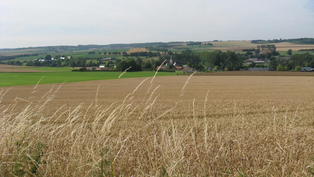 Photo of Others in Sainte-Beuve-en-Riviere