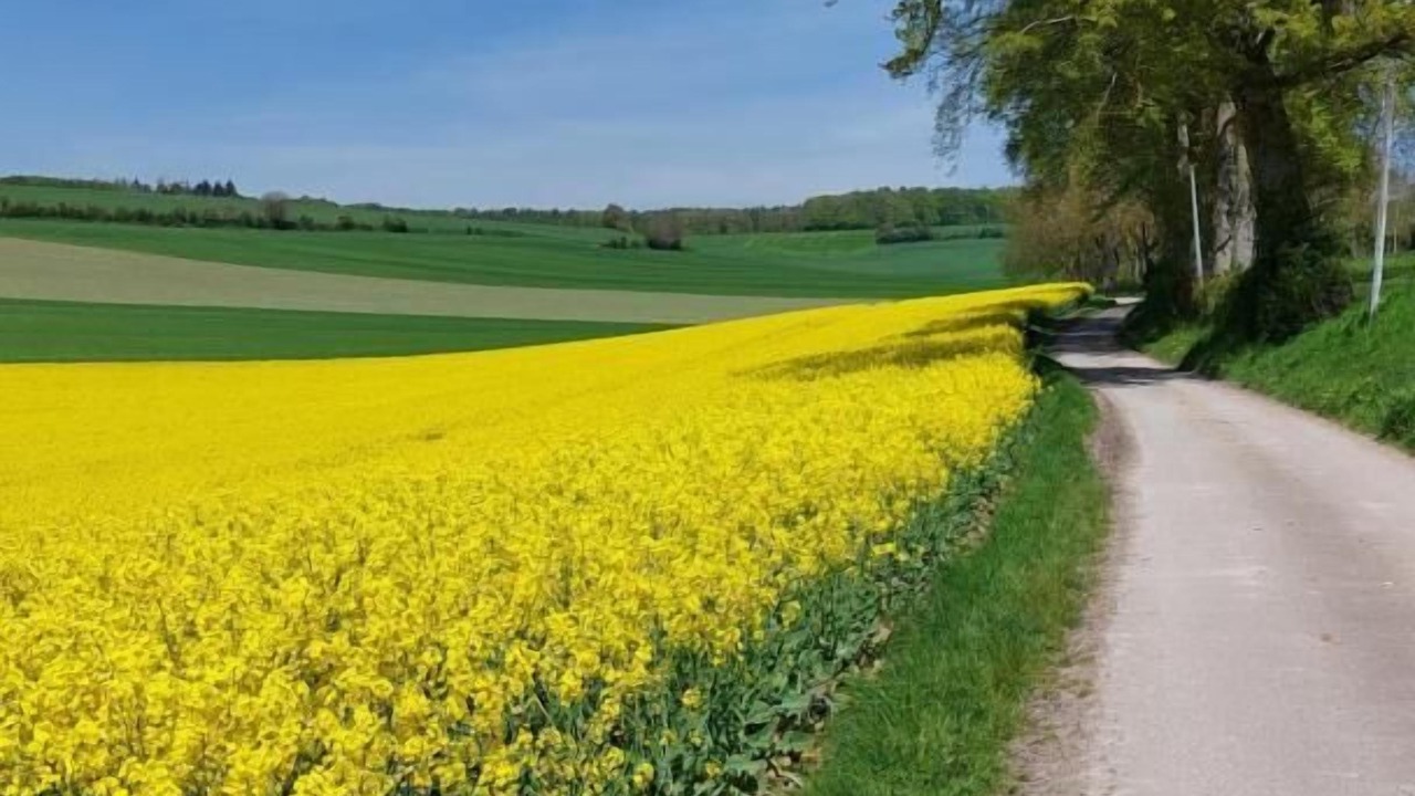 Photo of Others in Sainte-Beuve-en-Riviere