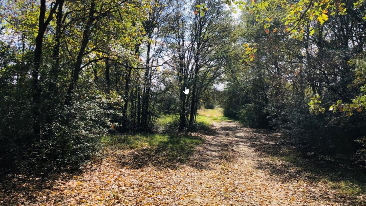 Photo of Outdoor in Jewett