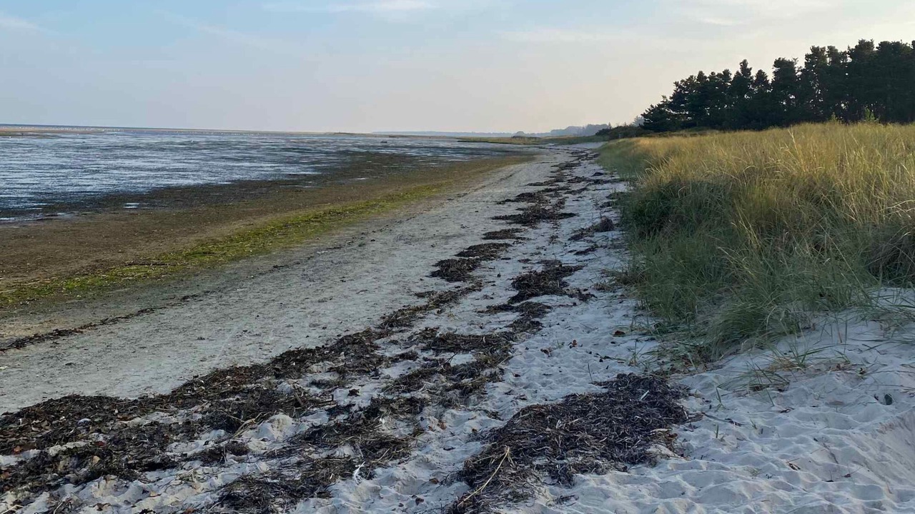 Photo of Others in Haslevgarde