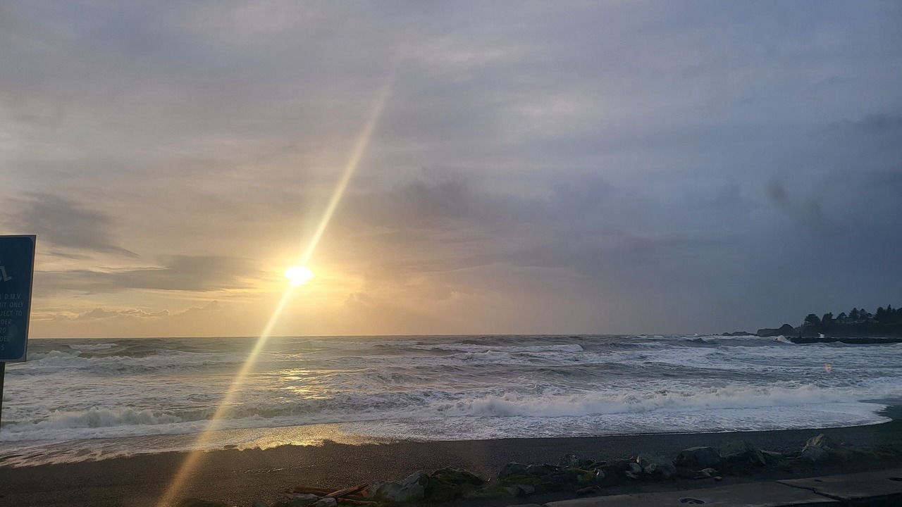 Photo of Others in Harbor