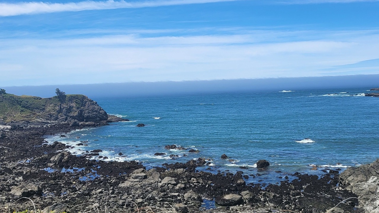 Photo of Others in Harbor