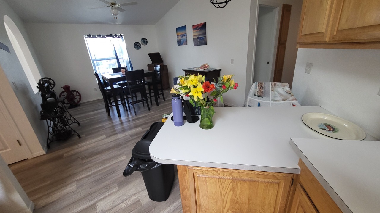 Photo of Others in Harbor