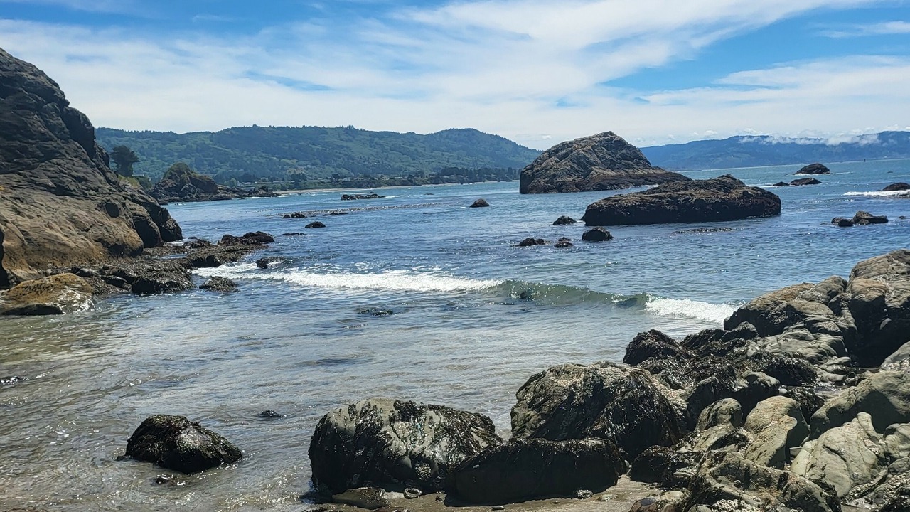 Photo of Others in Harbor