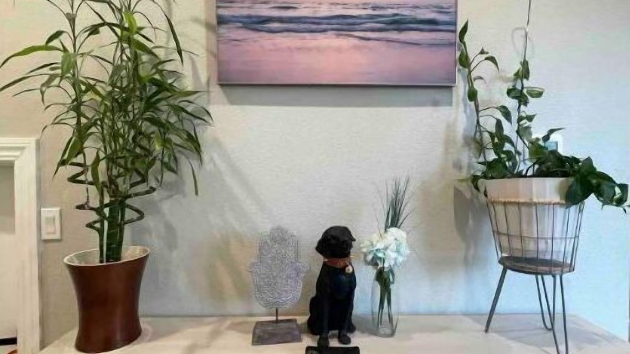 Photo of Others in Rodeo