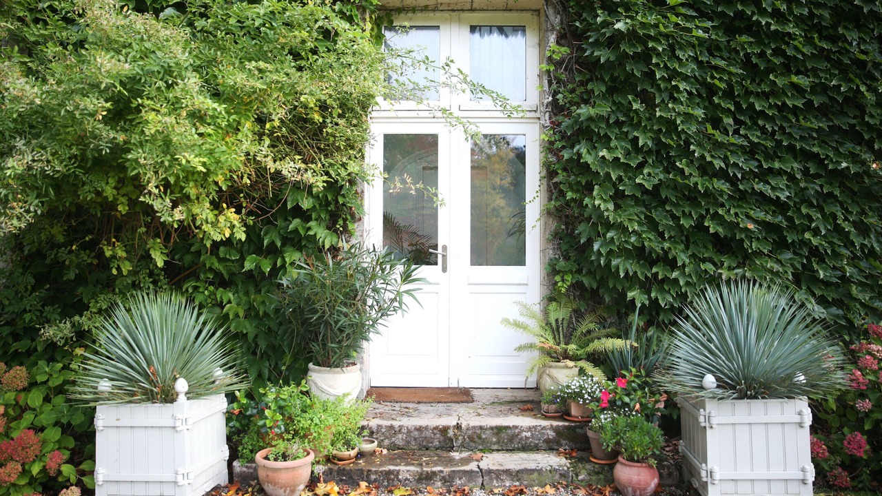 Photo of Outdoor in Maisnieres