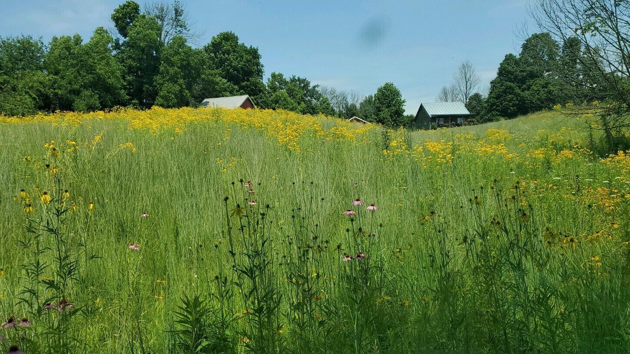 Photo of Outdoor in New Castle