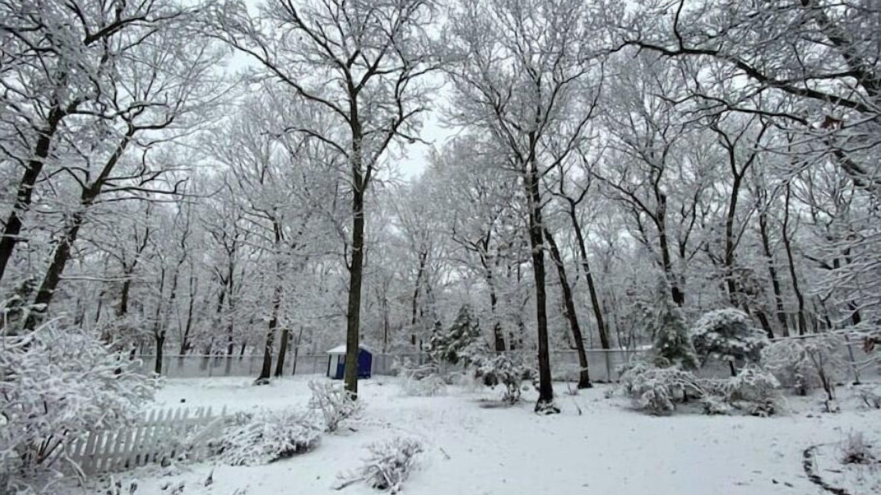 Photo of Others in Commack