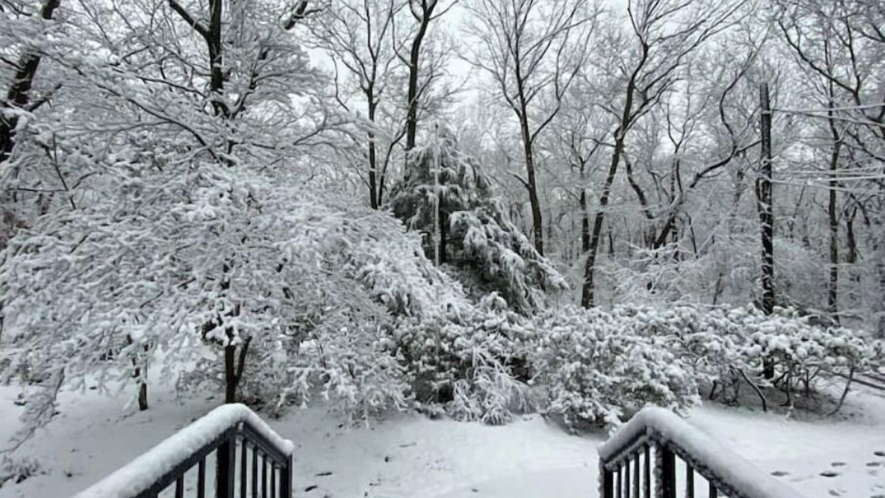 Photo of Outdoor in Commack