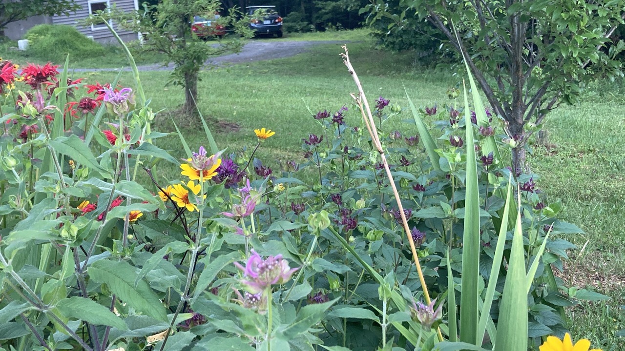 Photo of Outdoor in Bethel