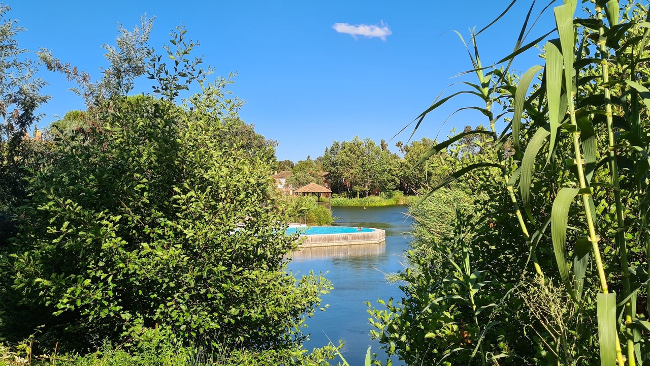 Photo of Outdoor in Les Restanques