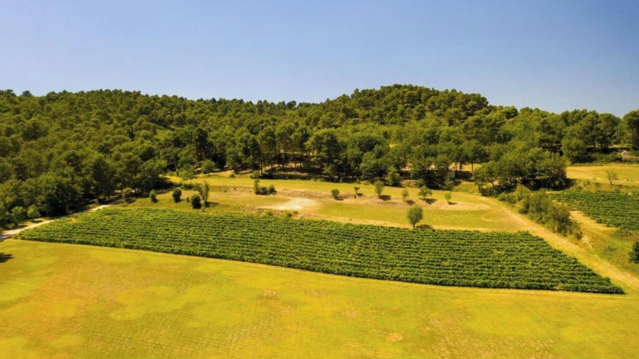 Photo of Others in Ansouis