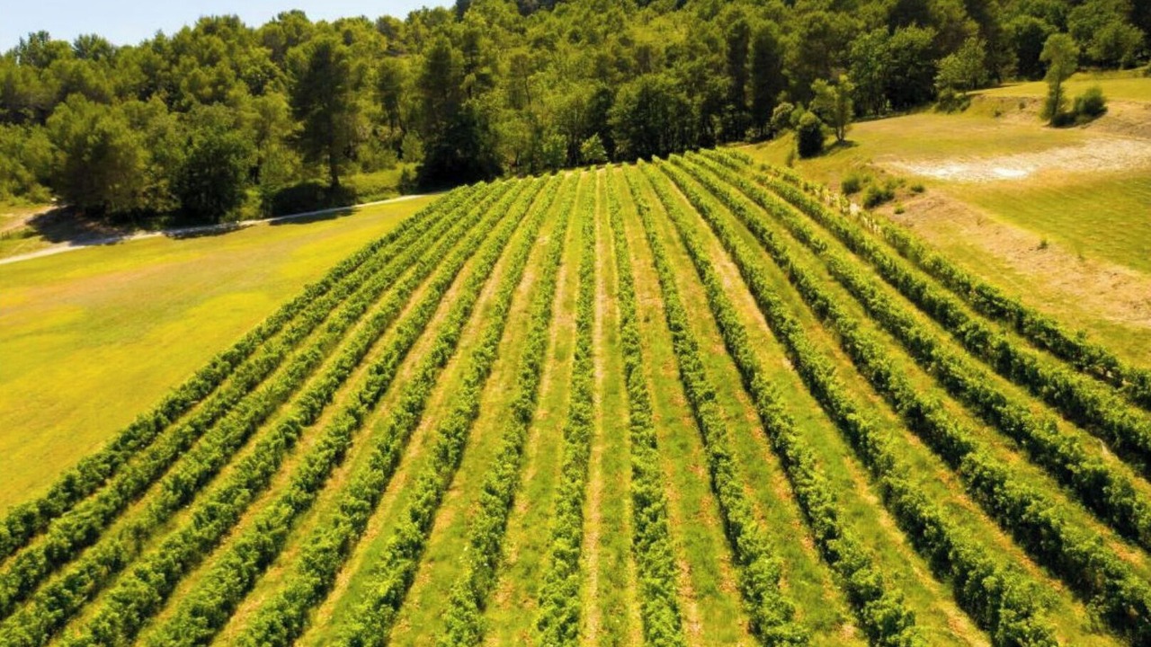 Photo of Outdoor in Ansouis