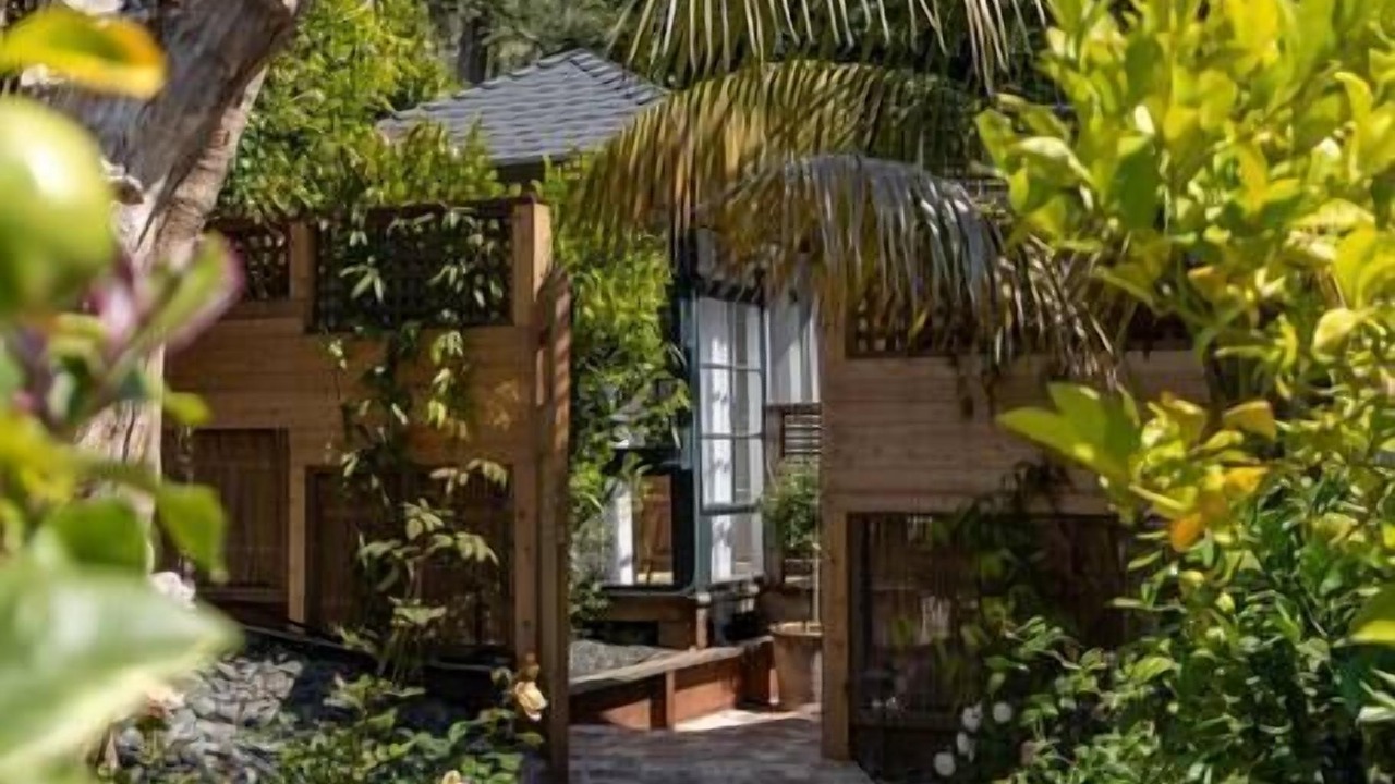 Photo of Others in Stinson Beach