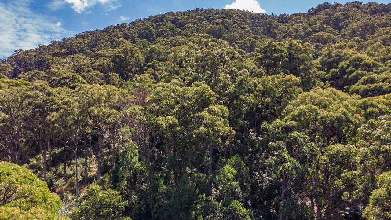 Photo of Others in Mount Macedon