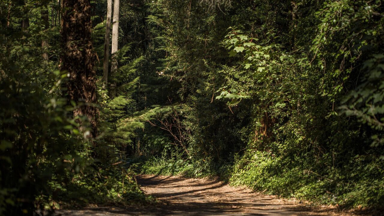 Photo of Others in Mount Macedon