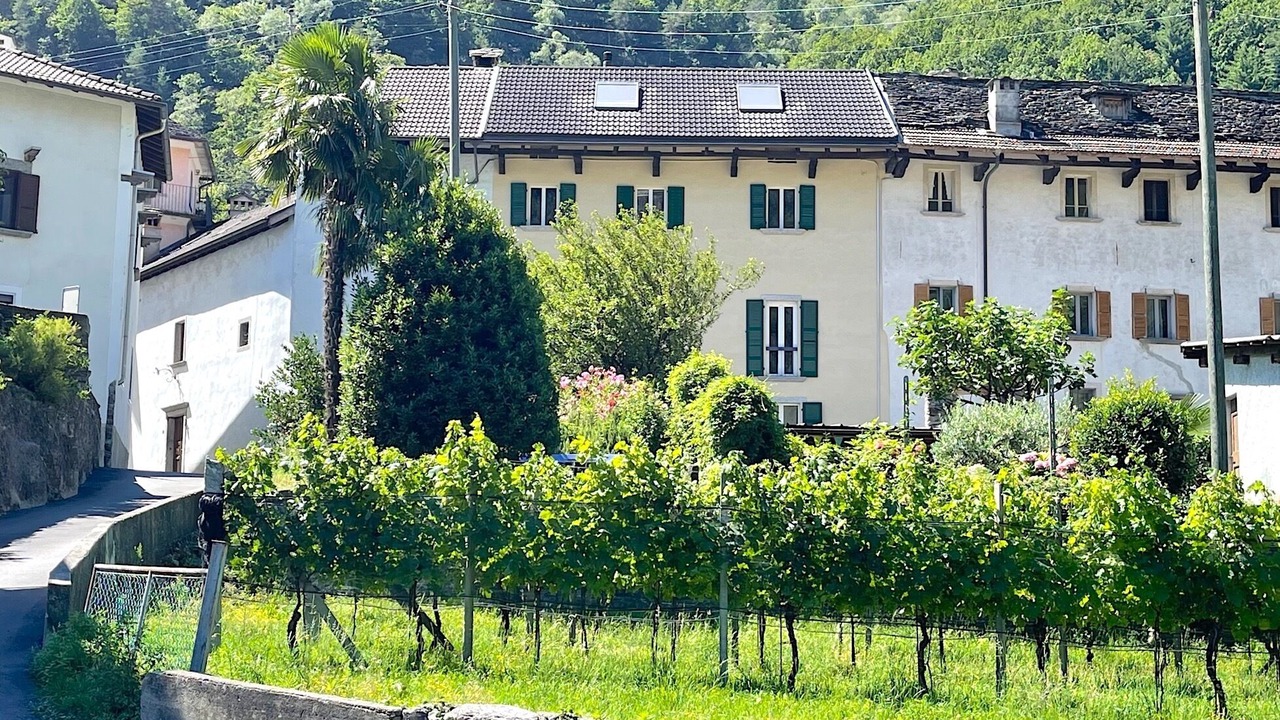 Photo of Outdoor in Centovalli