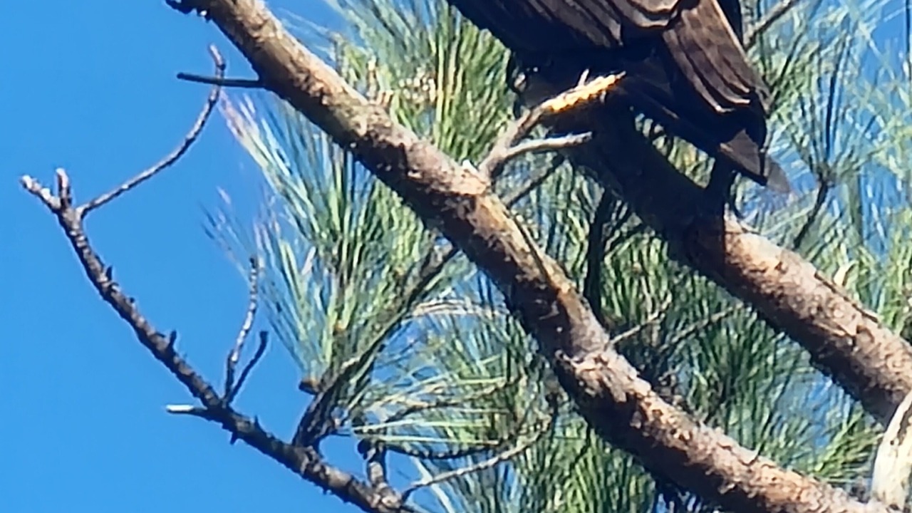 Photo of Others in Lottsburg