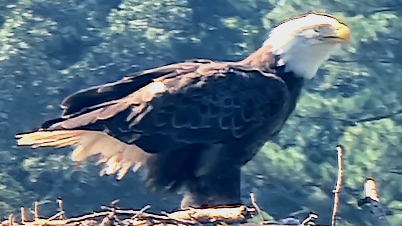 Photo of Others in Lottsburg