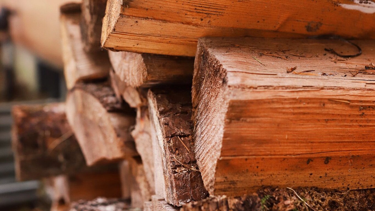 Photo of Others in Warnick