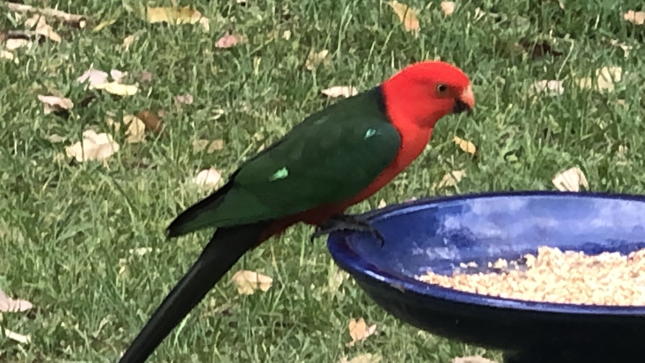 Photo of Others in Charlotte Bay