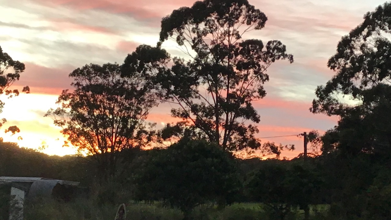 Photo of Outdoor in Charlotte Bay