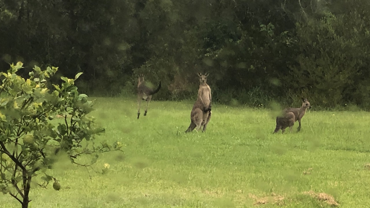 Photo of Others in Charlotte Bay