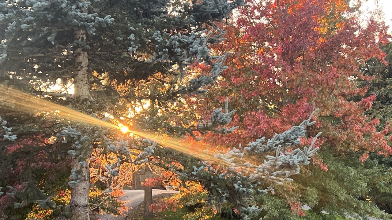 Photo of Outdoor in Aurora