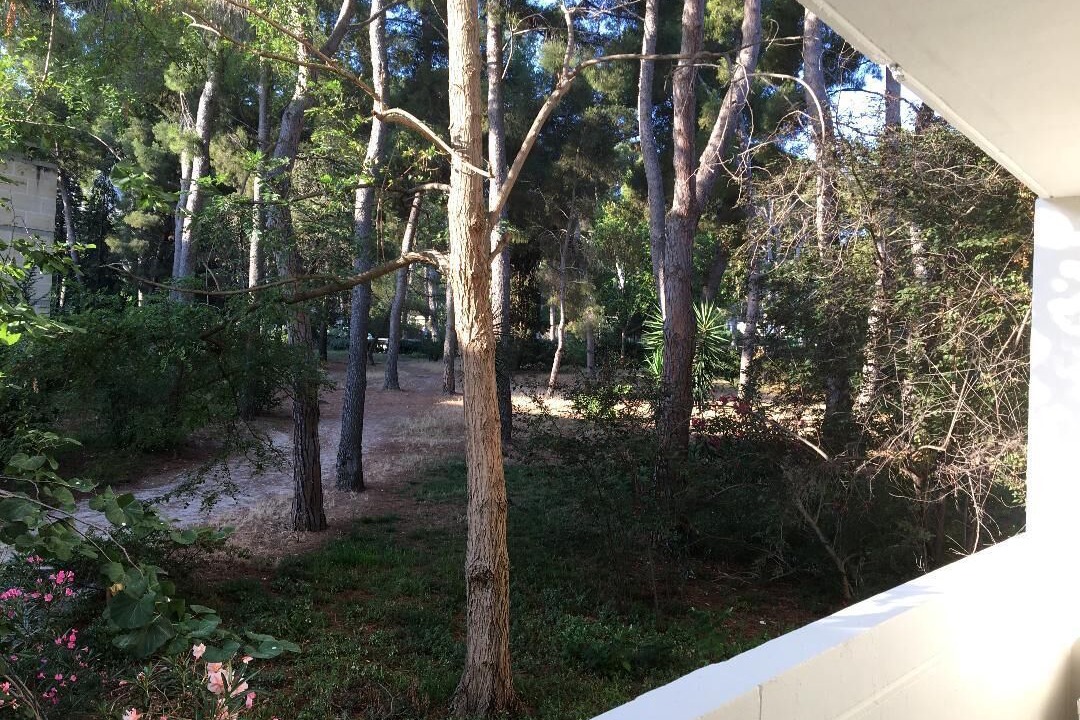 Photo of Outdoor in La Pointe Rouge