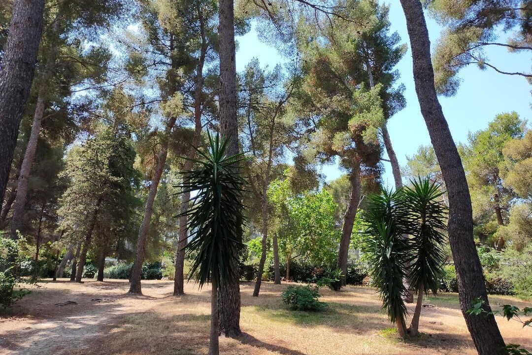 Photo of Outdoor in La Pointe Rouge