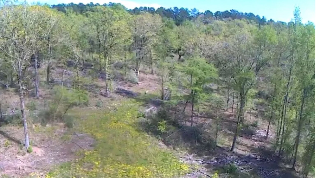 Photo of Others in Rusk