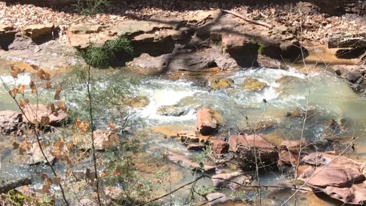 Photo of Others in Rusk